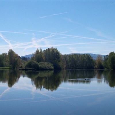 金沙集团9500app下载